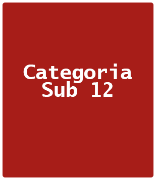 Categoria Sub 12