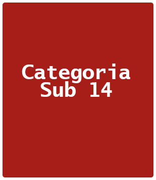 Categoria Sub 14