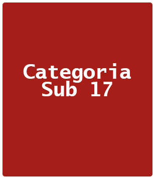 Categoria Sub 17